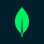 mongo 1.png